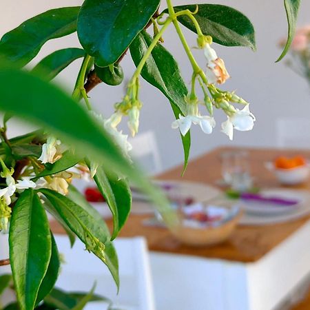 Corte Mercurio B&B Ugento Eksteriør billede